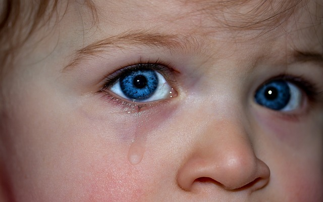 children's eyes, eyes, blue eyes