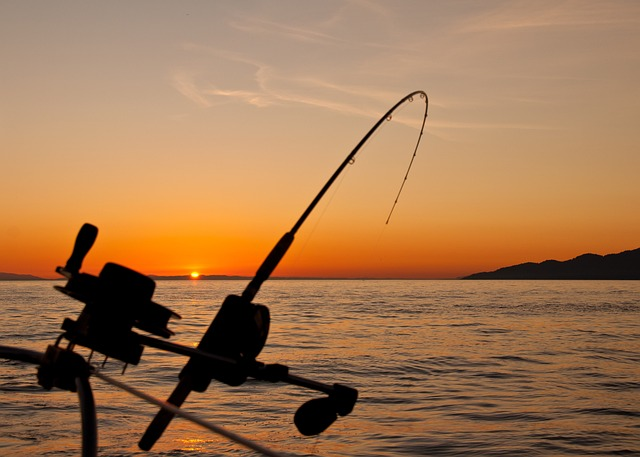 fishing, natural baits, personal preference, fins, south florida, considerable depths, fish
