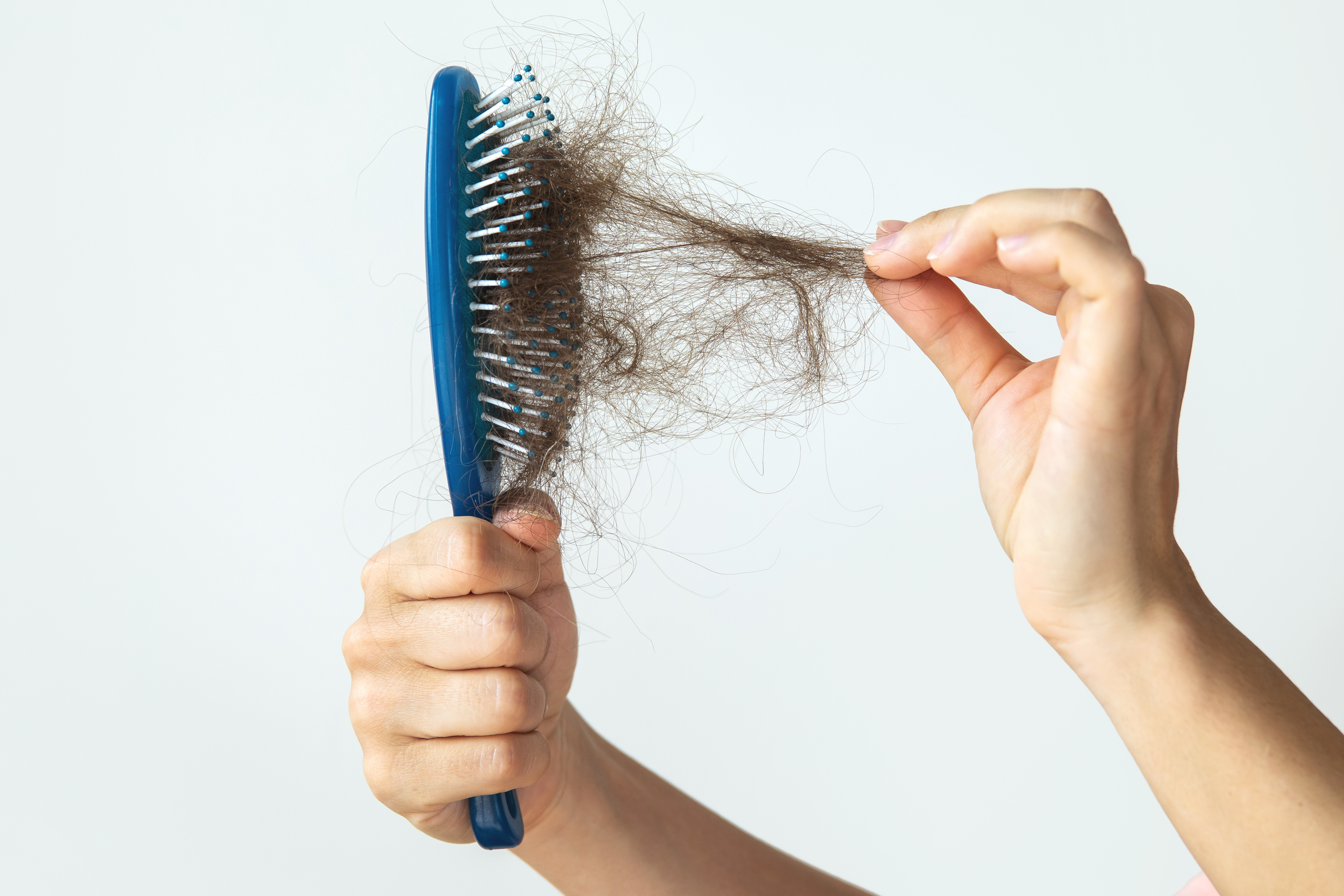 Few hairs in the comb are normal; too many are not.