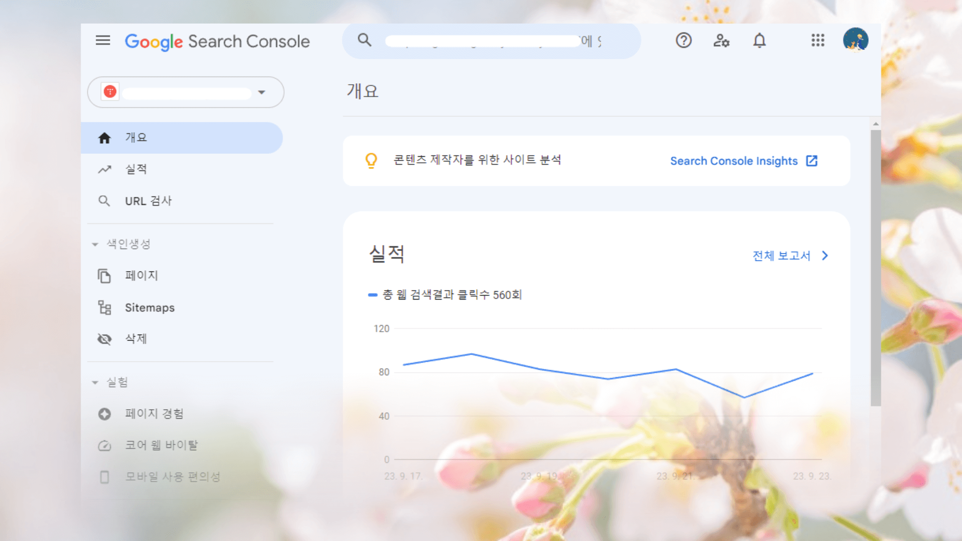 구글 서치 콘솔