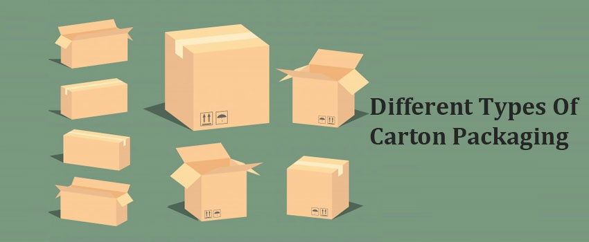 different type of carton 
