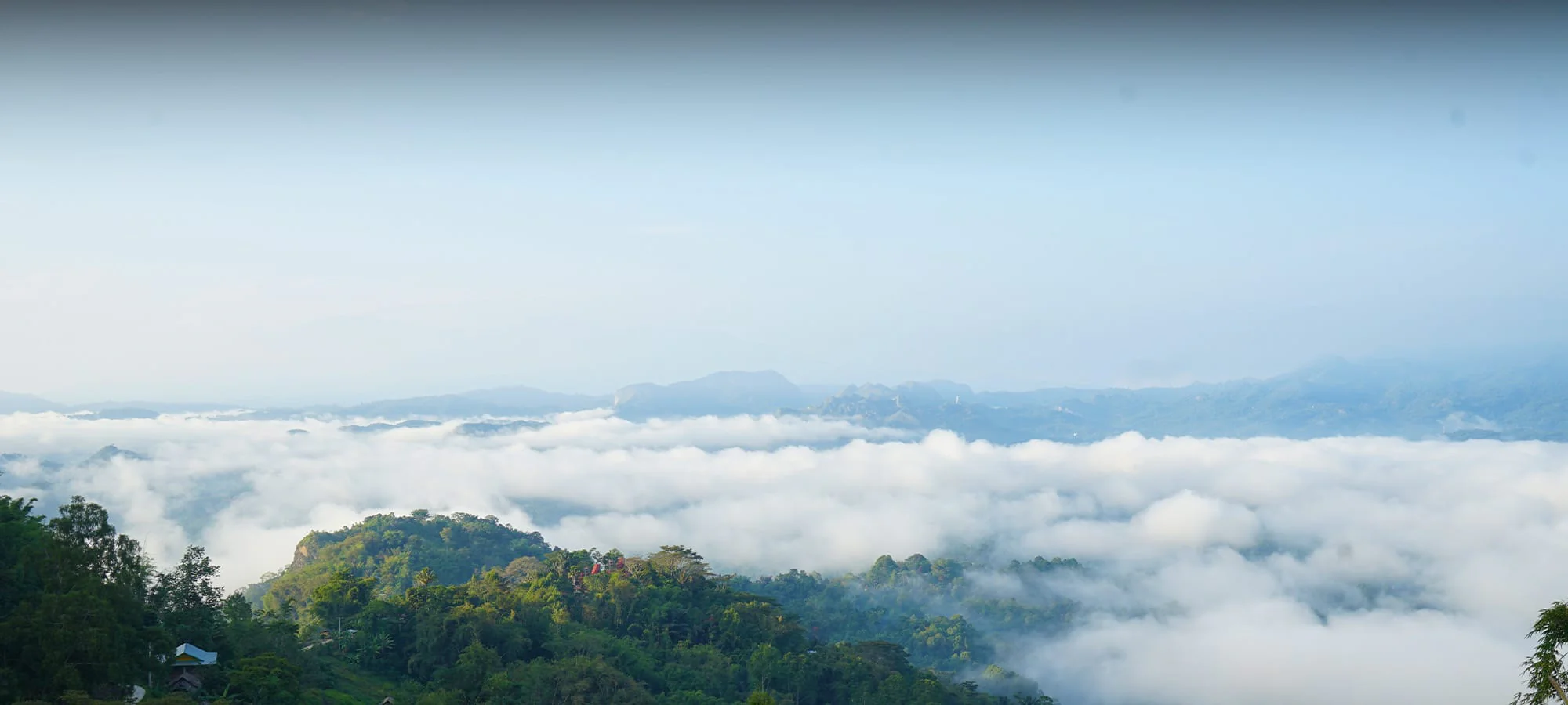Indonesian mountain jungles looking down over a cloud filled valley