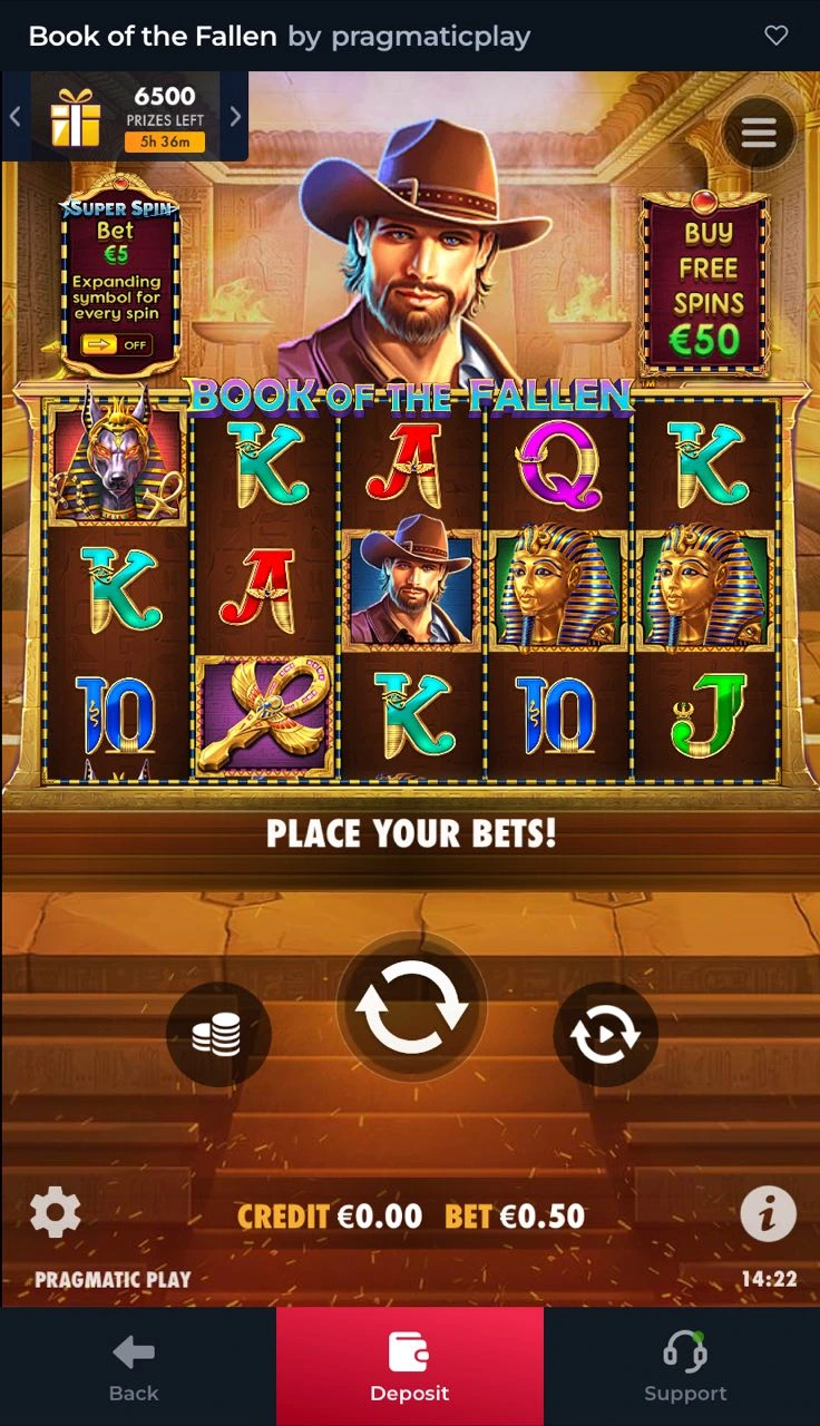 Winorio online casino mobile experience