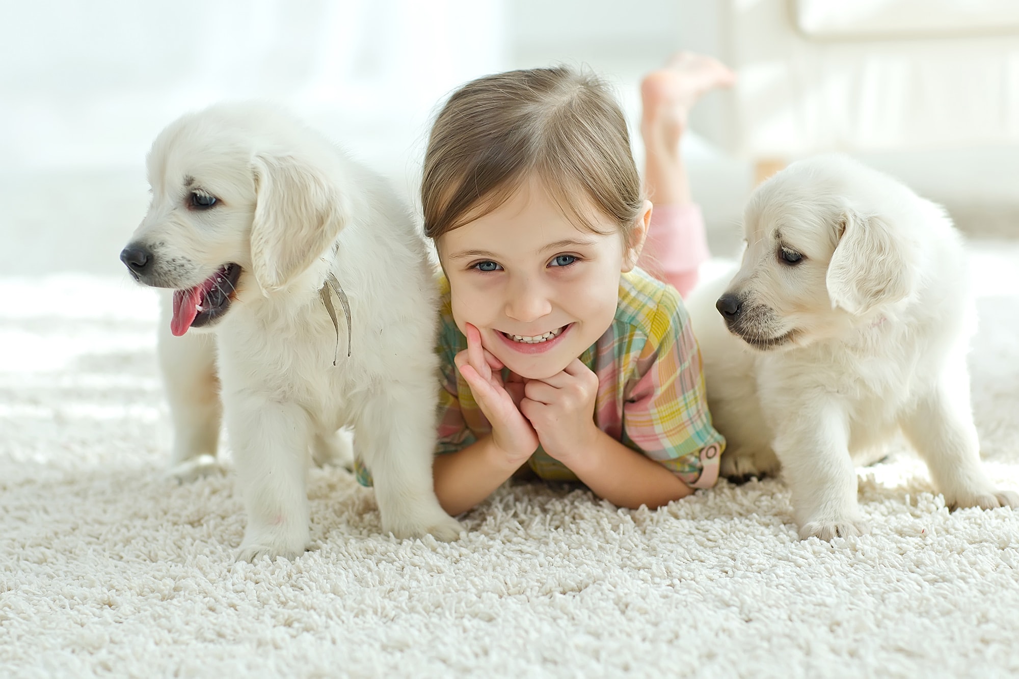 Rug Cleaning Bristow VA