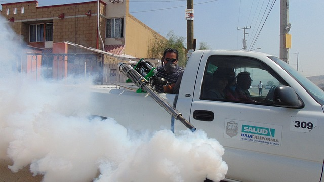 fumigation, street, pesticide