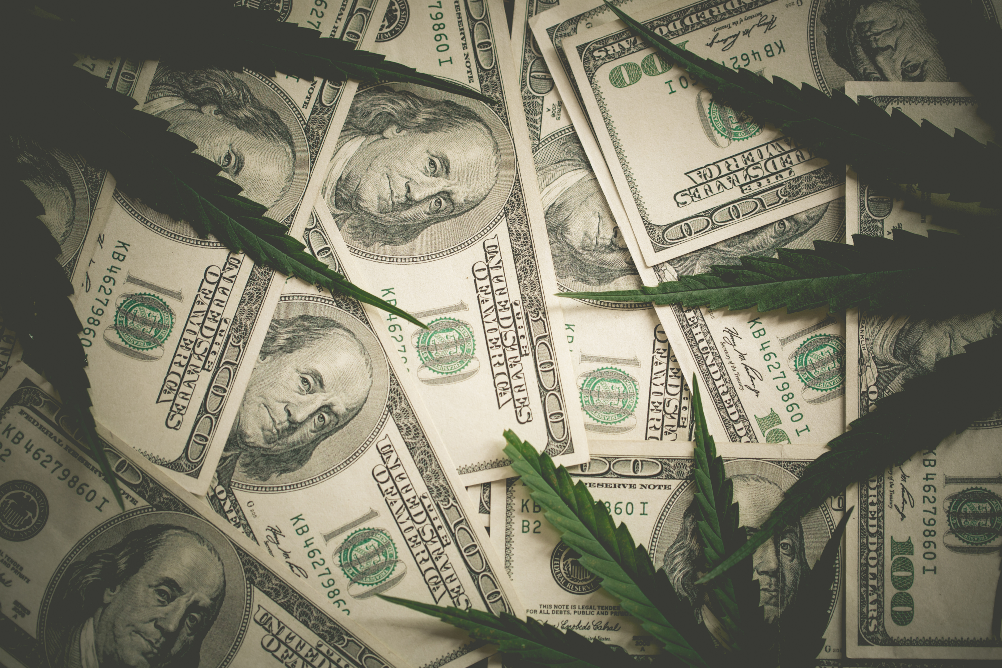 Michigan had a record-breaking year for their sales, with numbers breaking $3 billion. That's up about $700 million from the prior year, signaling a sizeable increase in the amount of marijuana consumption.