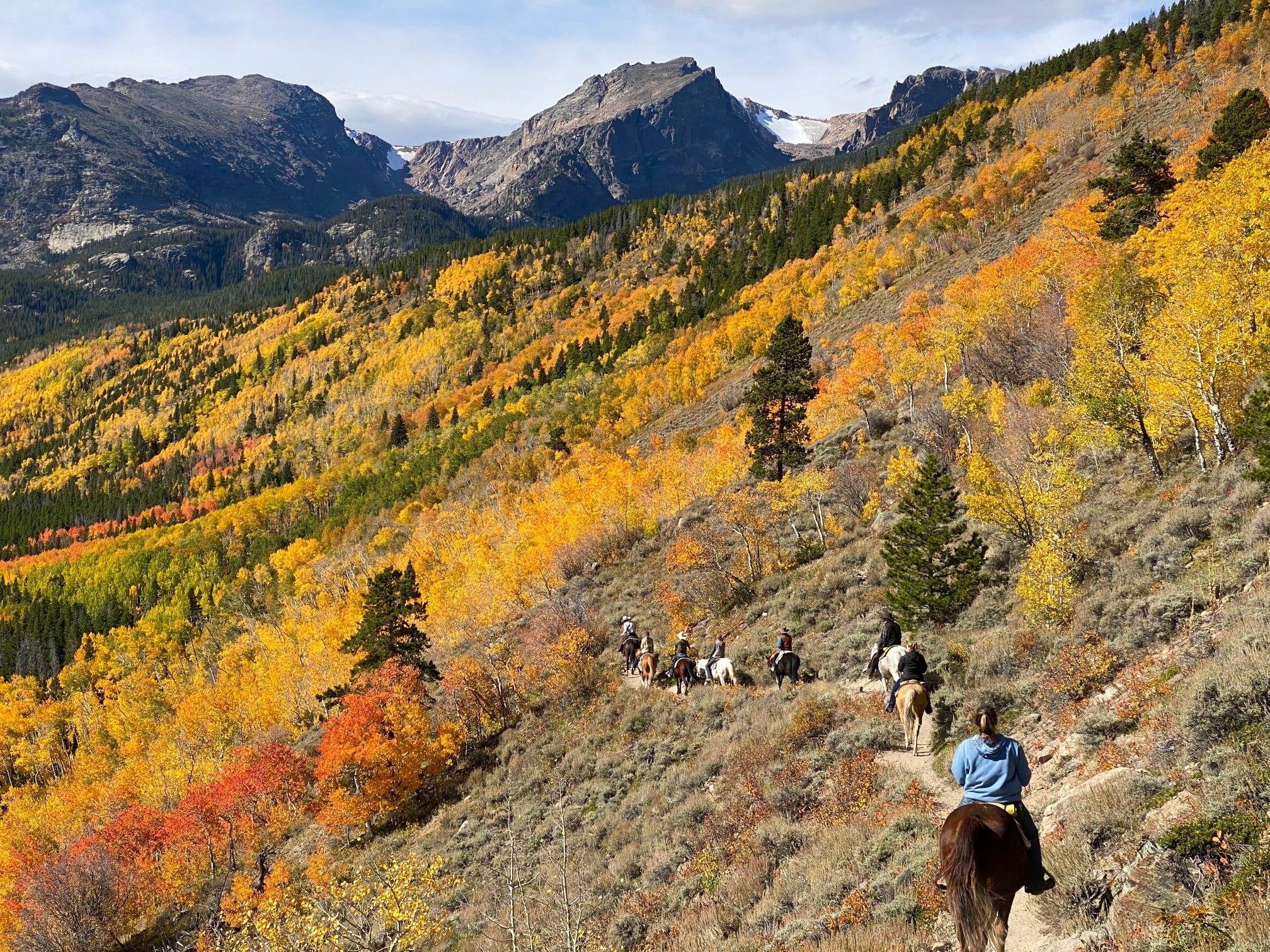 A group riding on horseback in Rocky Mountain National Park