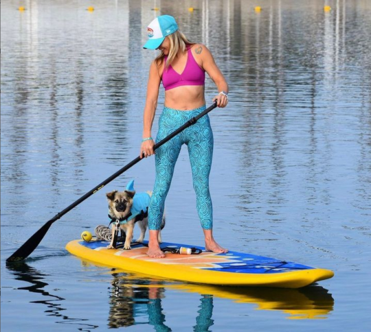 dog on a paddle board