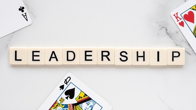 SEO leadership