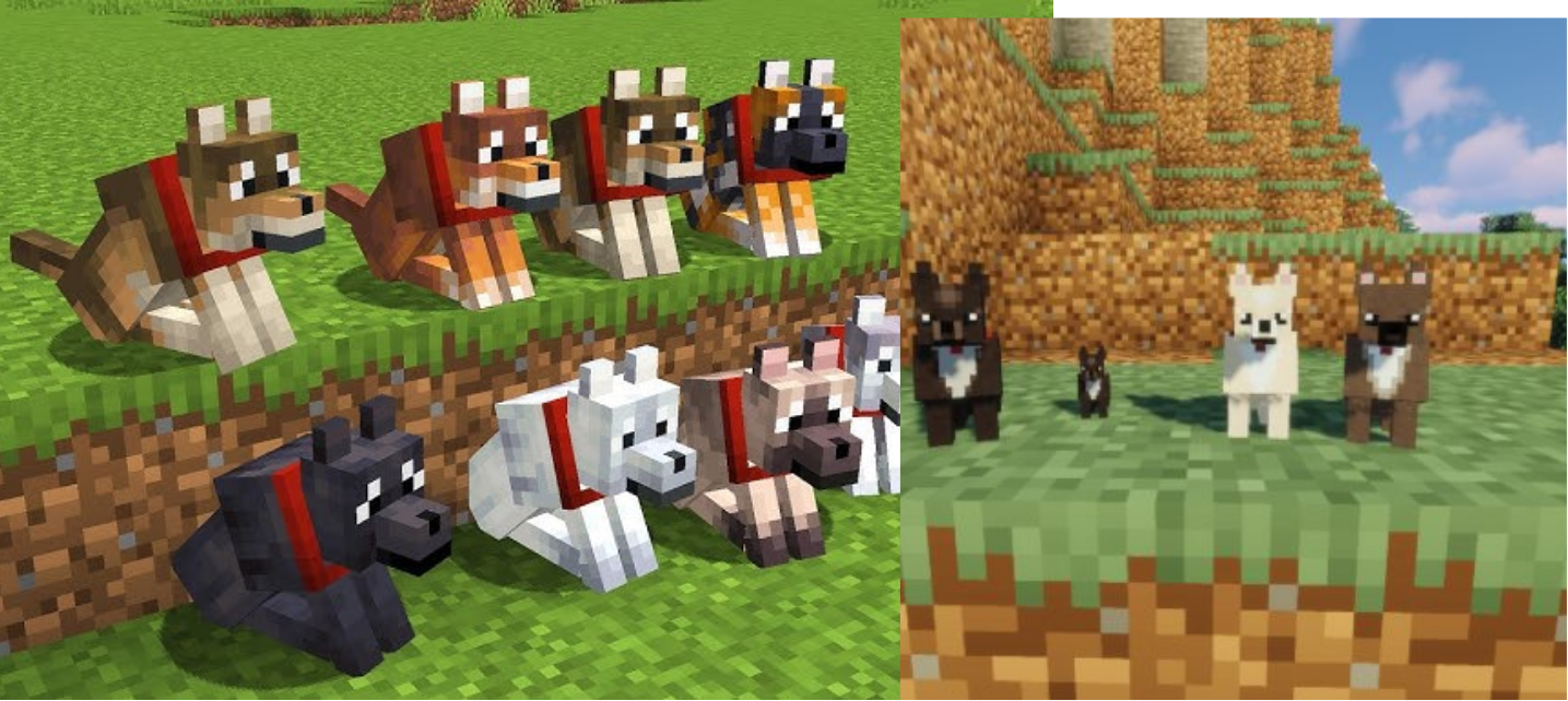 Where to Find Dogs in Minecraft