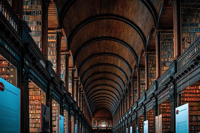 library, books, bookshelves