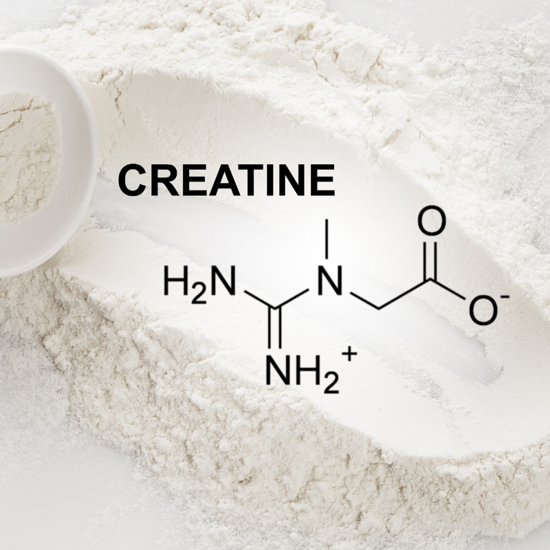 Illustration of the molecular structure of creatine.