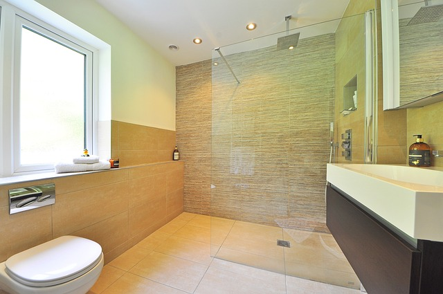 bathroom, luxury, luxury bathroom with glass shower