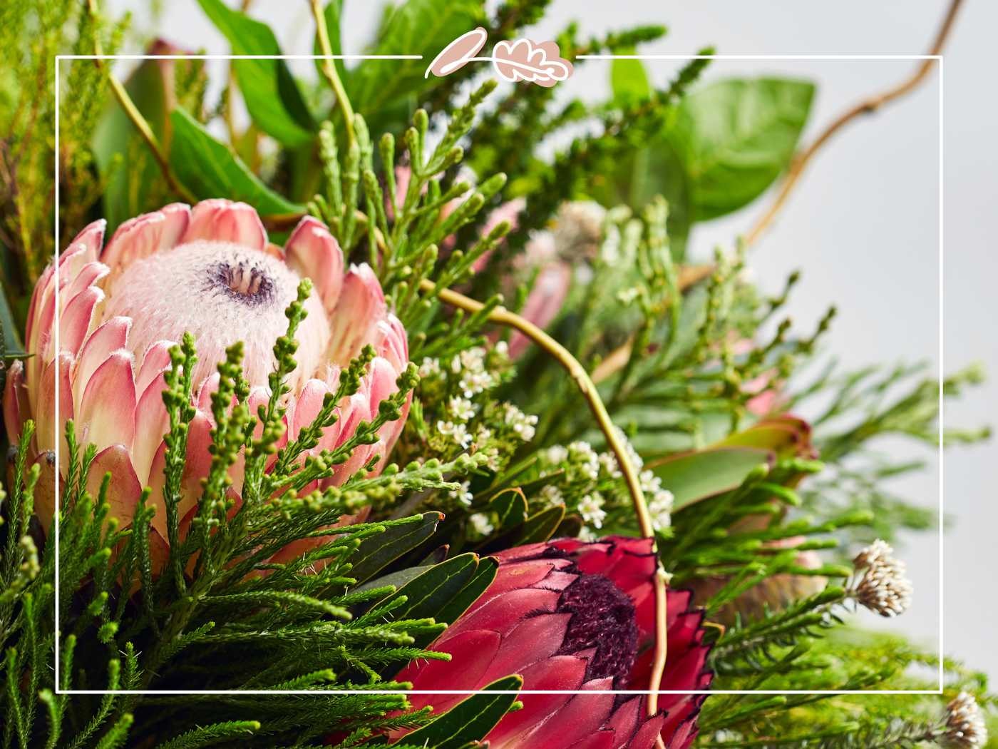 Exquisite arrangement of pink proteas and mixed greenery in a lush display.