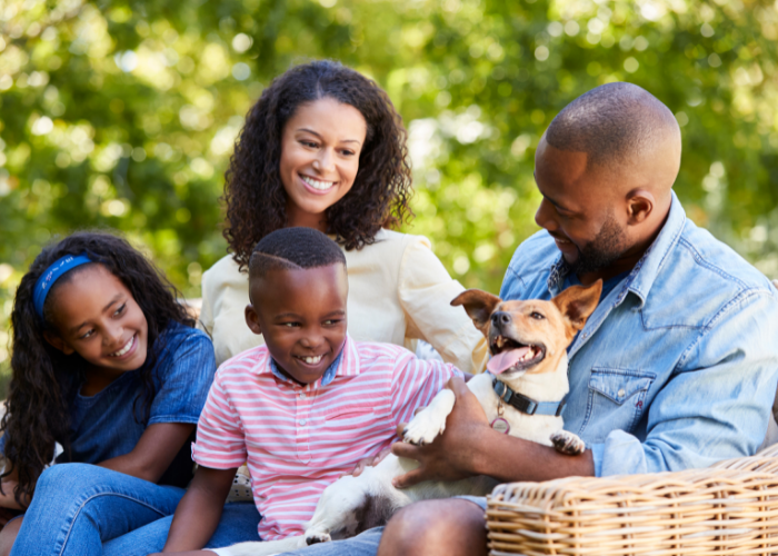 los perros forman parte de la familia