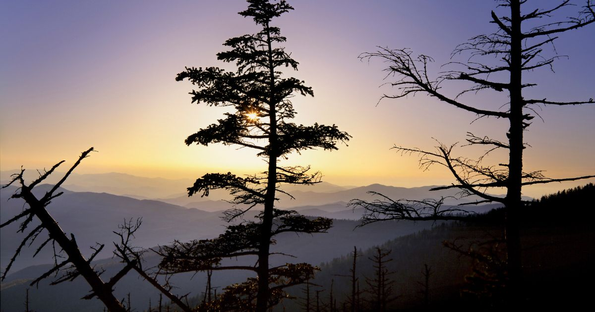 Clingmans Dome hike 