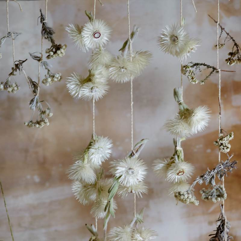all the moisture, dry flowers with silica, granular compound, best method, floral design