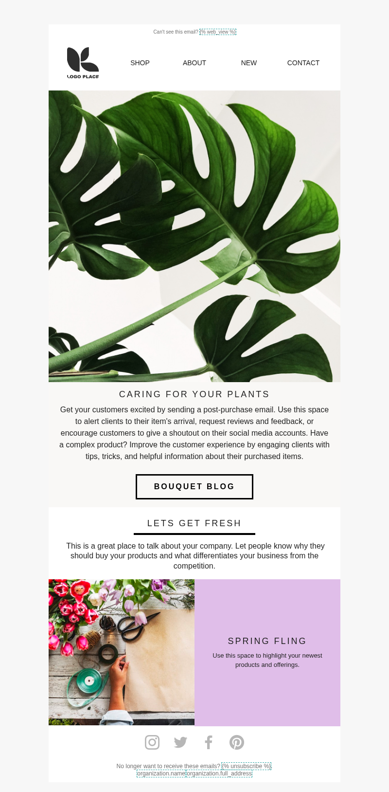 Usage Tips/Educational Email Template