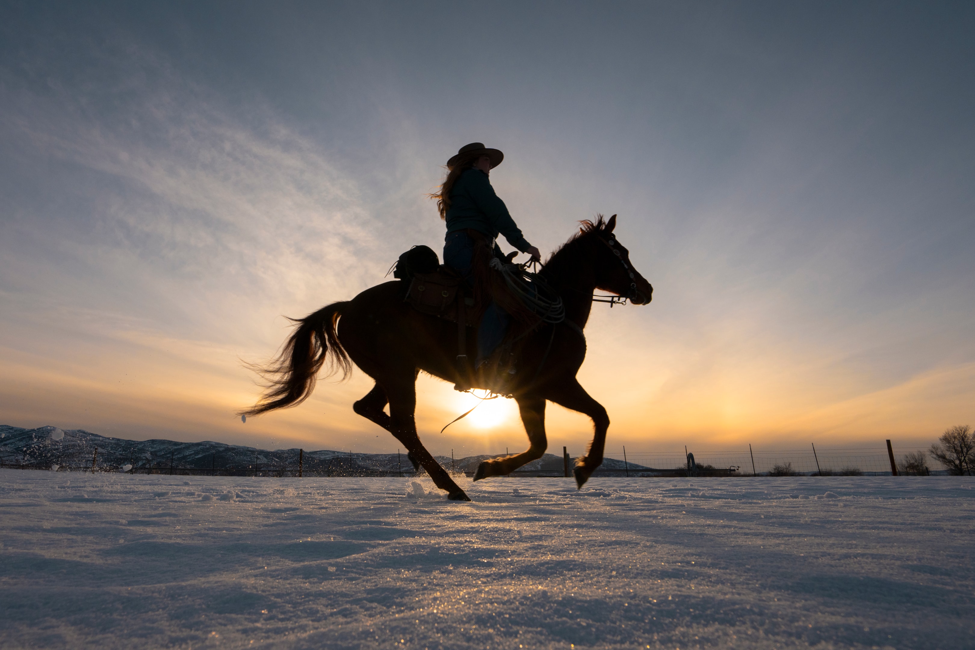 Silhouette of a Mustang horse with a female rider, with a sunrise backdrop