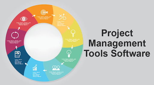 Trello vs Asana in 2023: How to Pick Which PM Tool Is Best for You