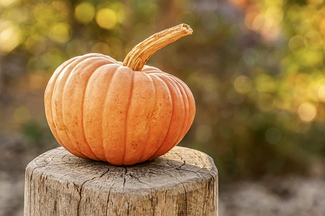 harvest, pumpkin, autumn, keto