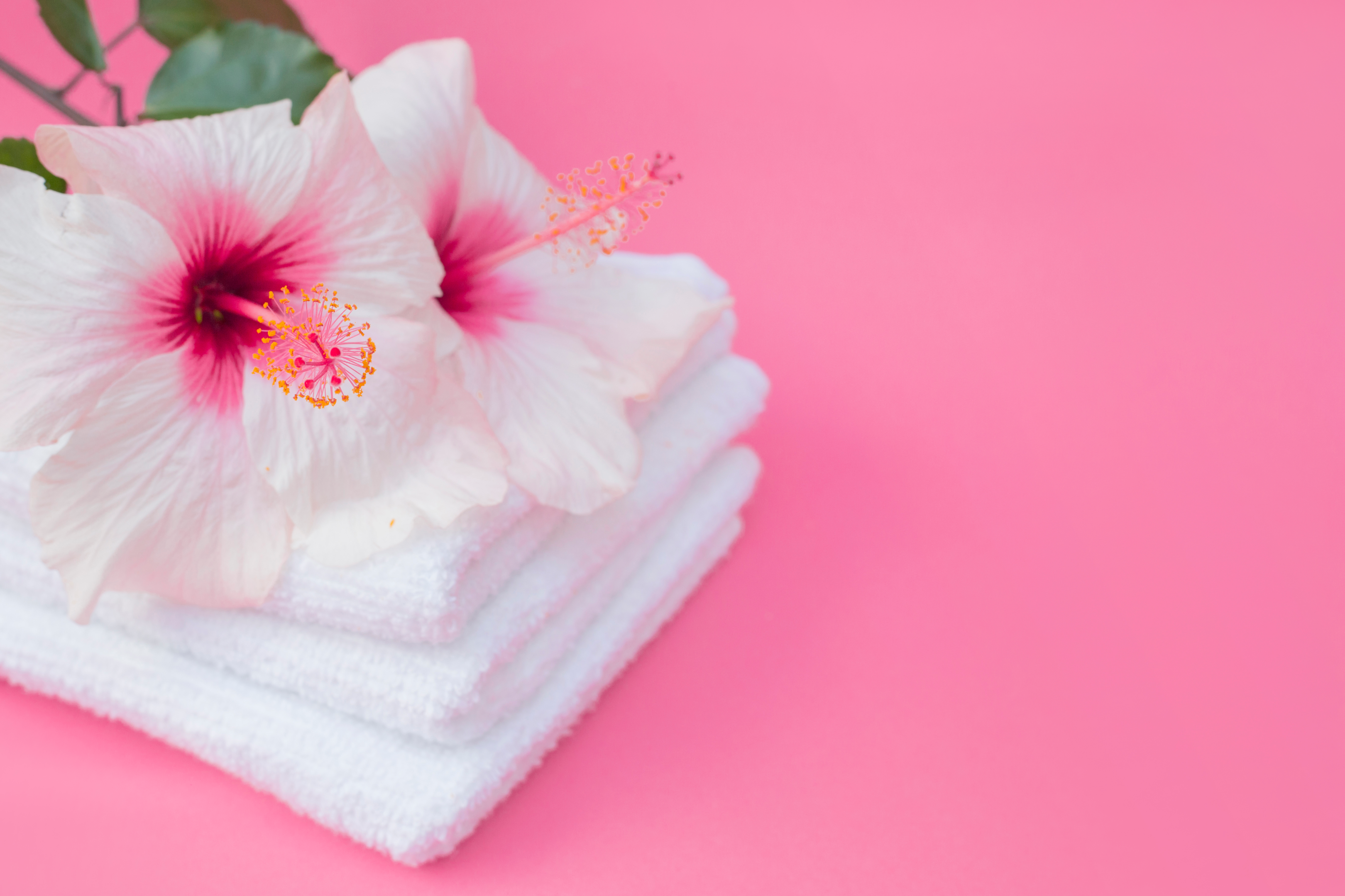 feminine wash, best yoni wash, fragrance free, water based formula, remove odor