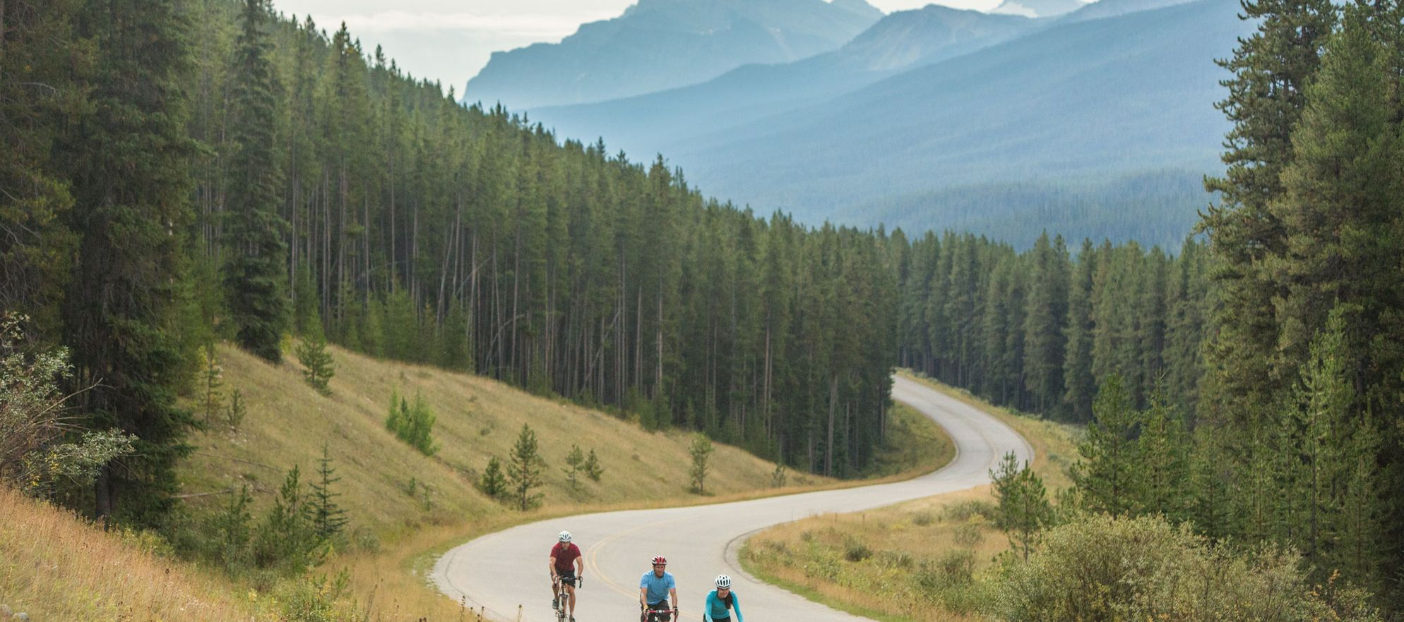 Bike ride through Bow Valley Parkway, Monuments Board, Big ecosystems