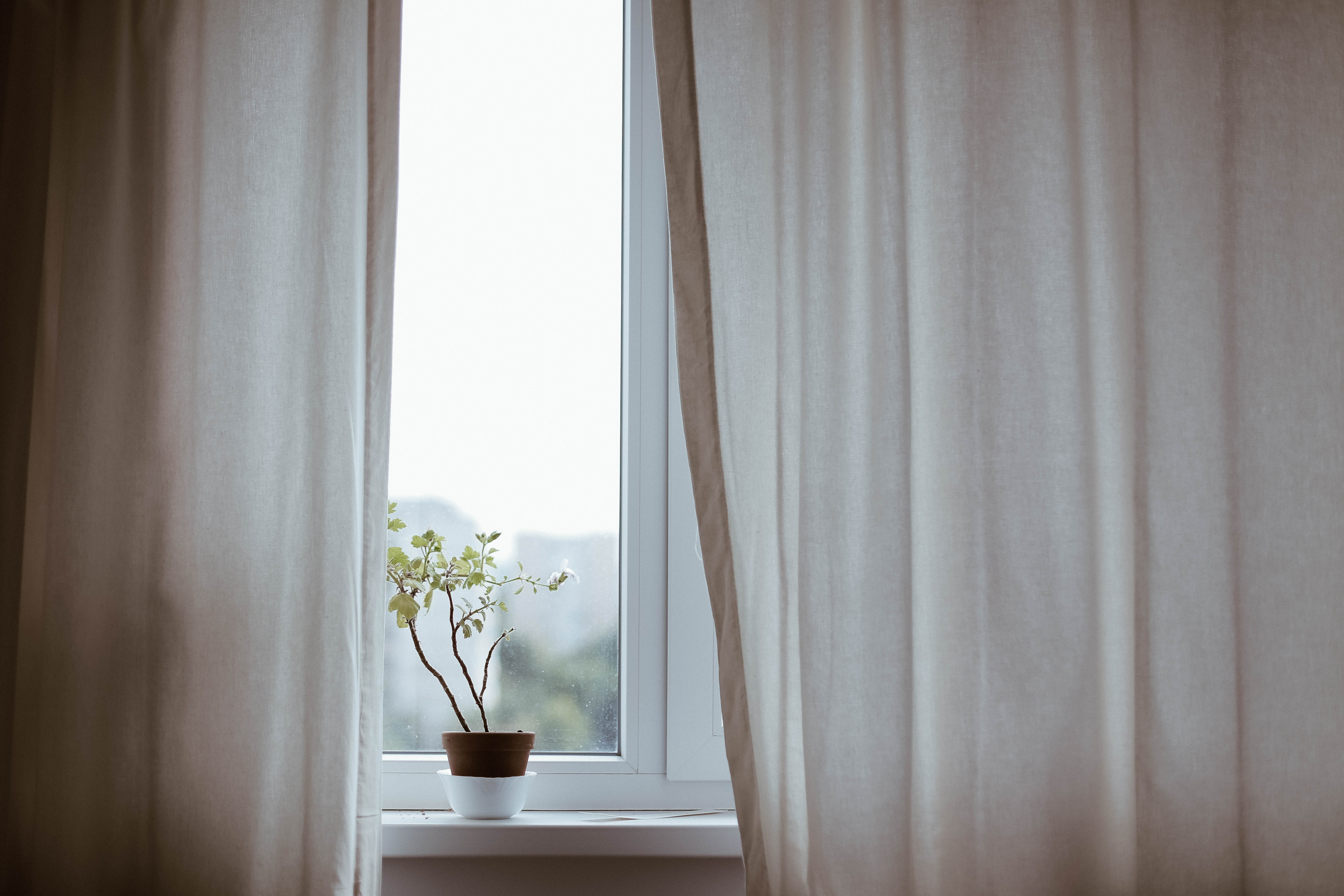 window letting in natural light to prevent wasting energy 