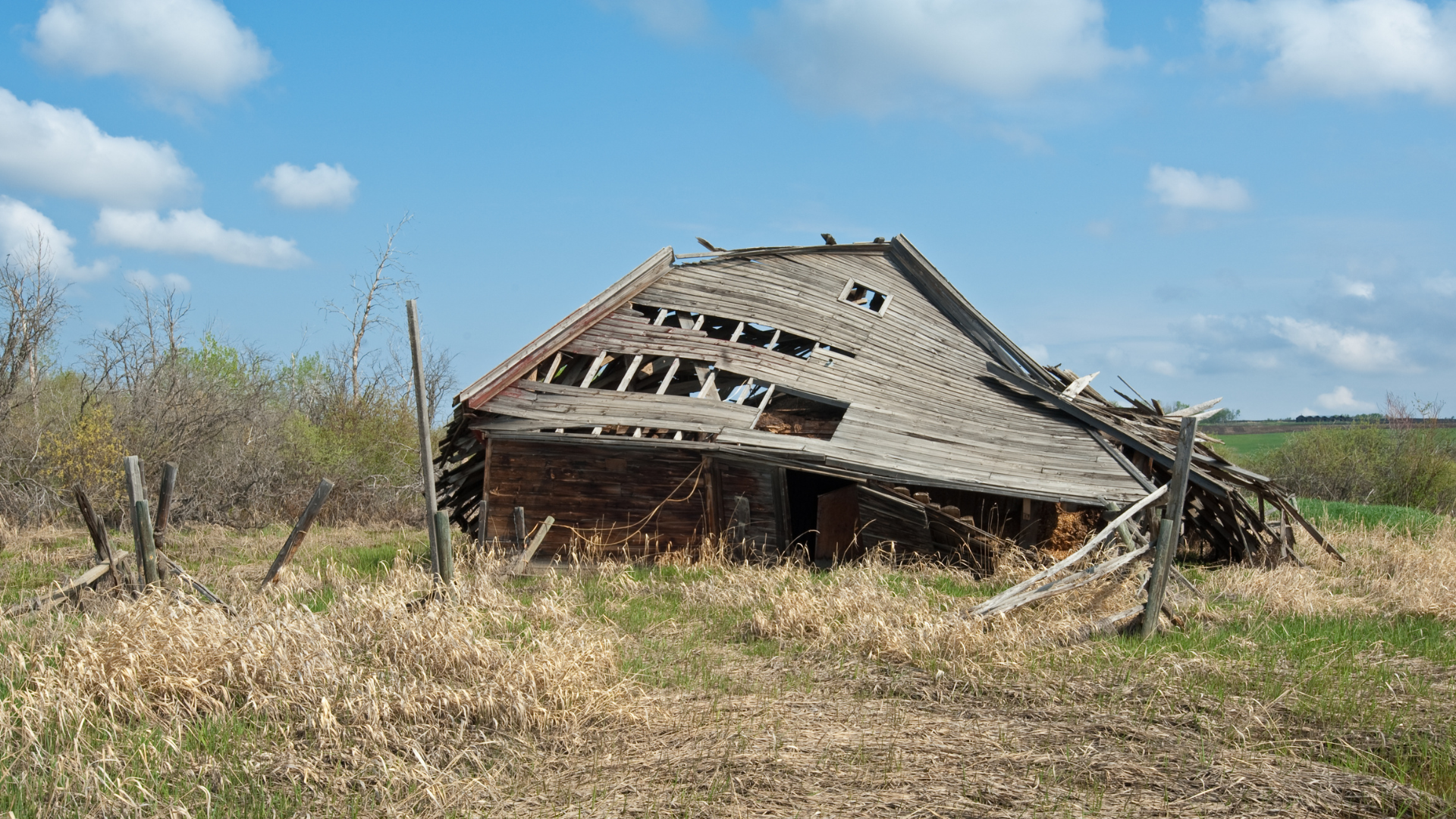 La récupération de bois rustique provenant de granges abattues comme celle-ci peut ajouter une esthétique unique à votre prochain projet.