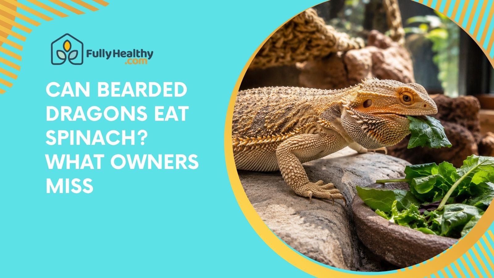 Can Bearded Dragons Eat Spinach? What Owners Miss