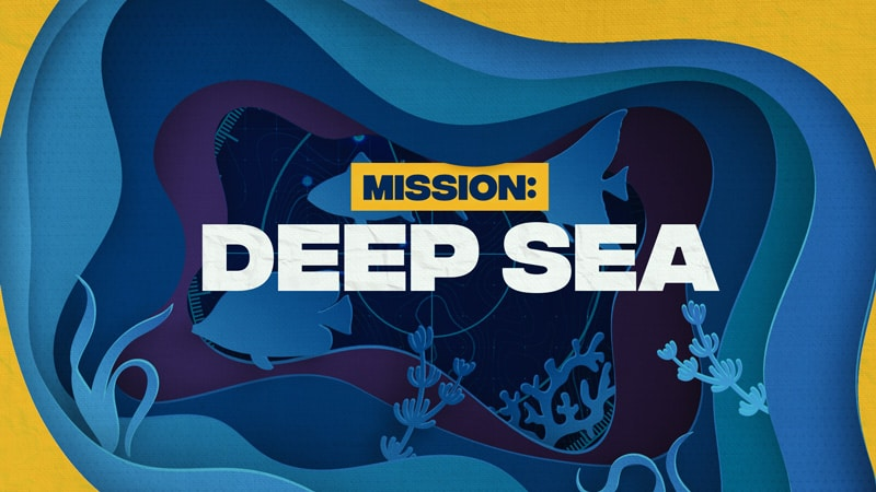 Fun VBS Curriculum That Will Make a Splash This Summer! - REACHRIGHT