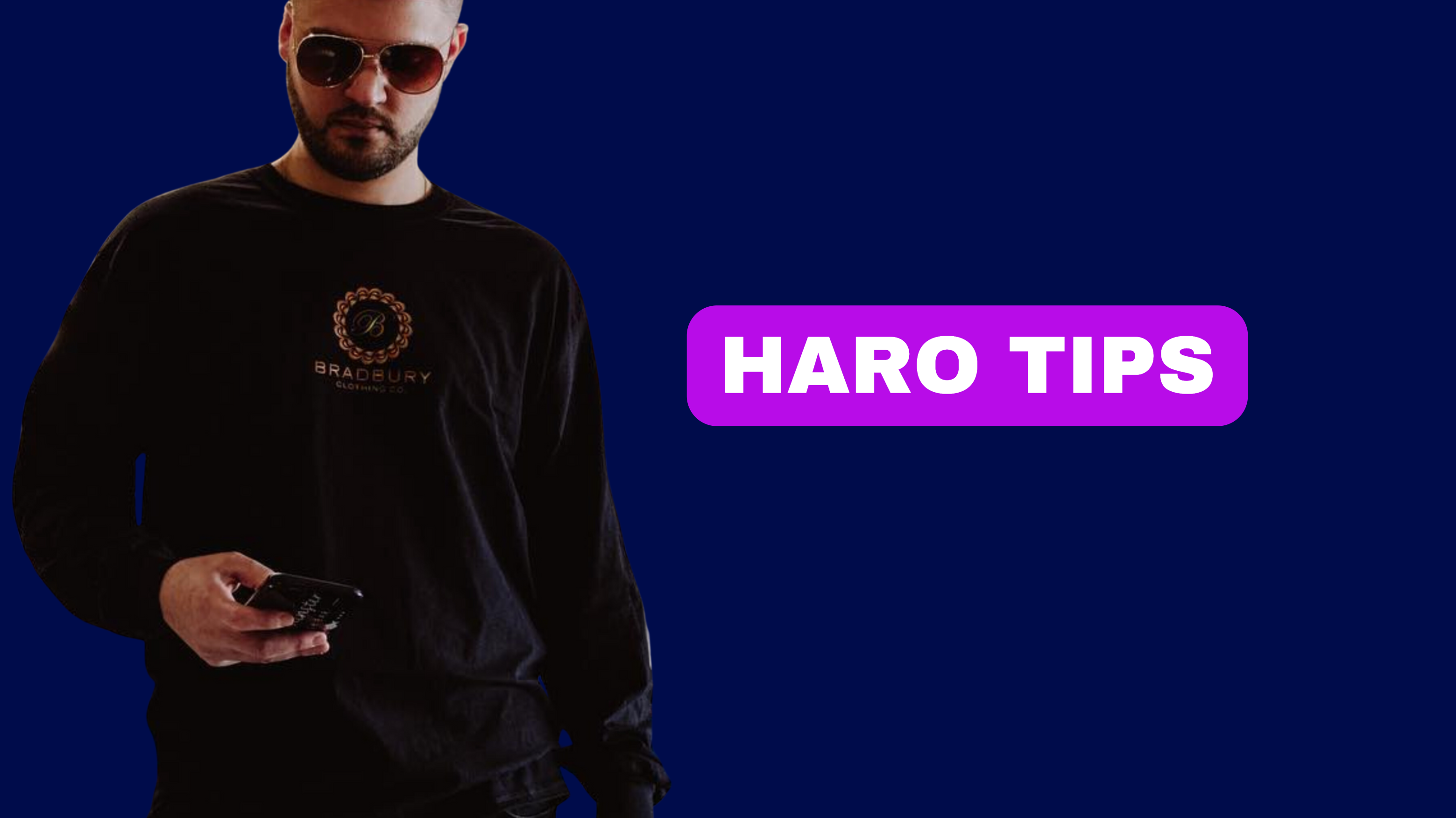 HARO Link Building Tips