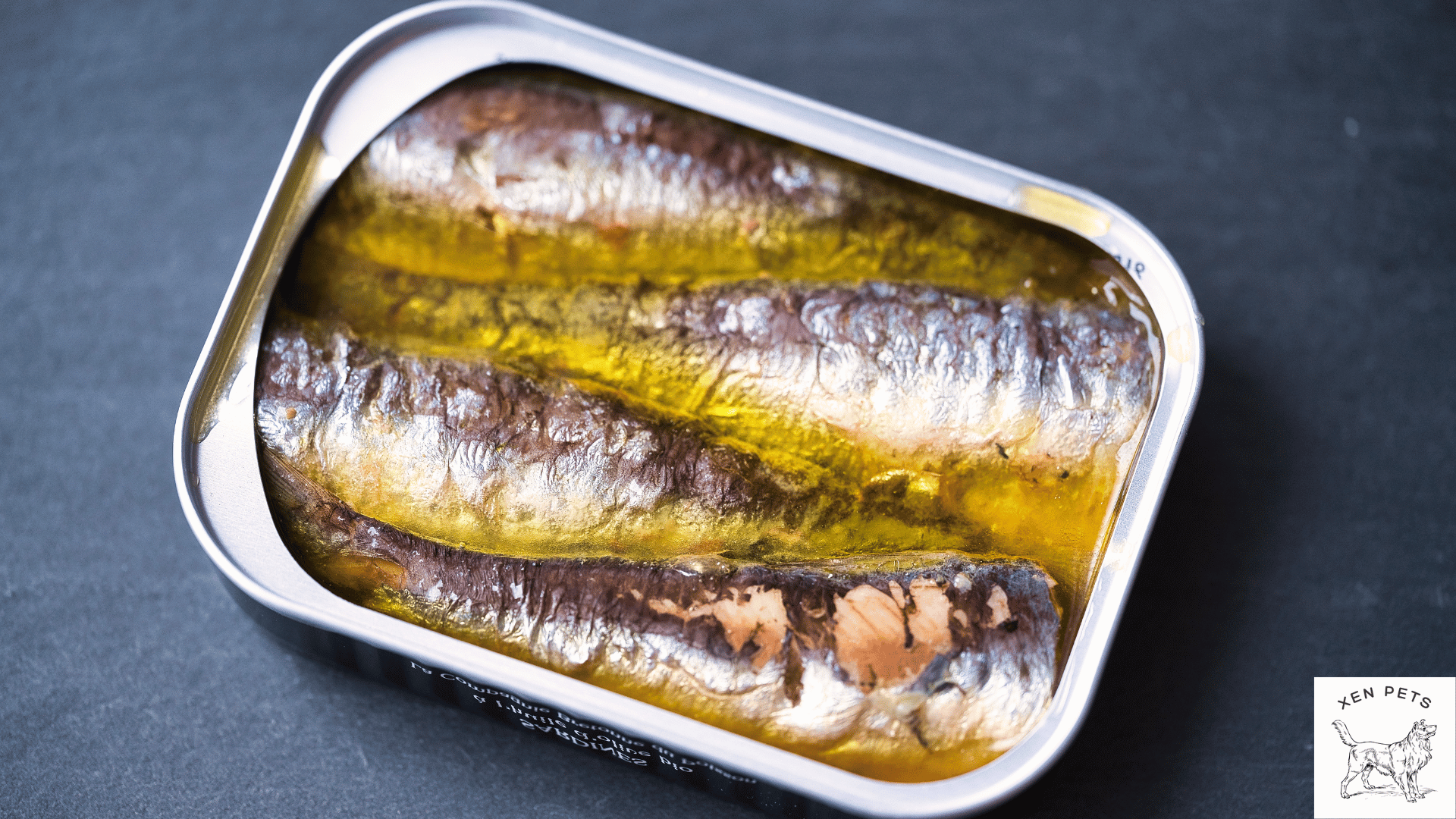 Sardines in olive shop oil for dogs