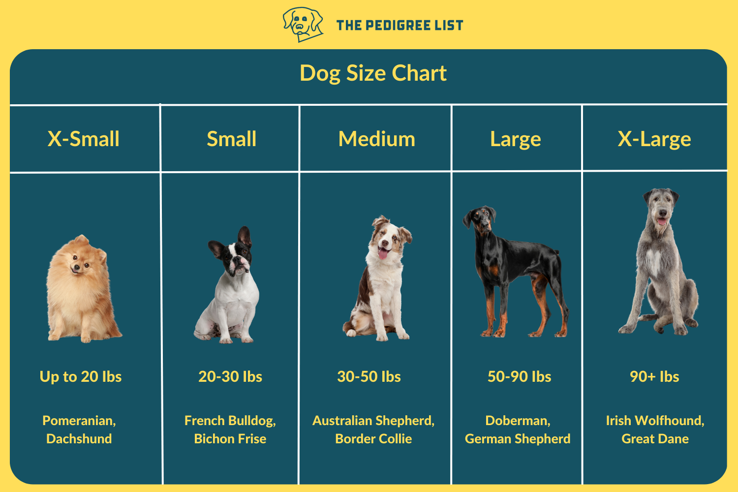 Dog size chart