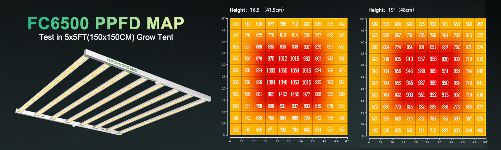 the par maps of fc6500 in a 5x5 grow tent