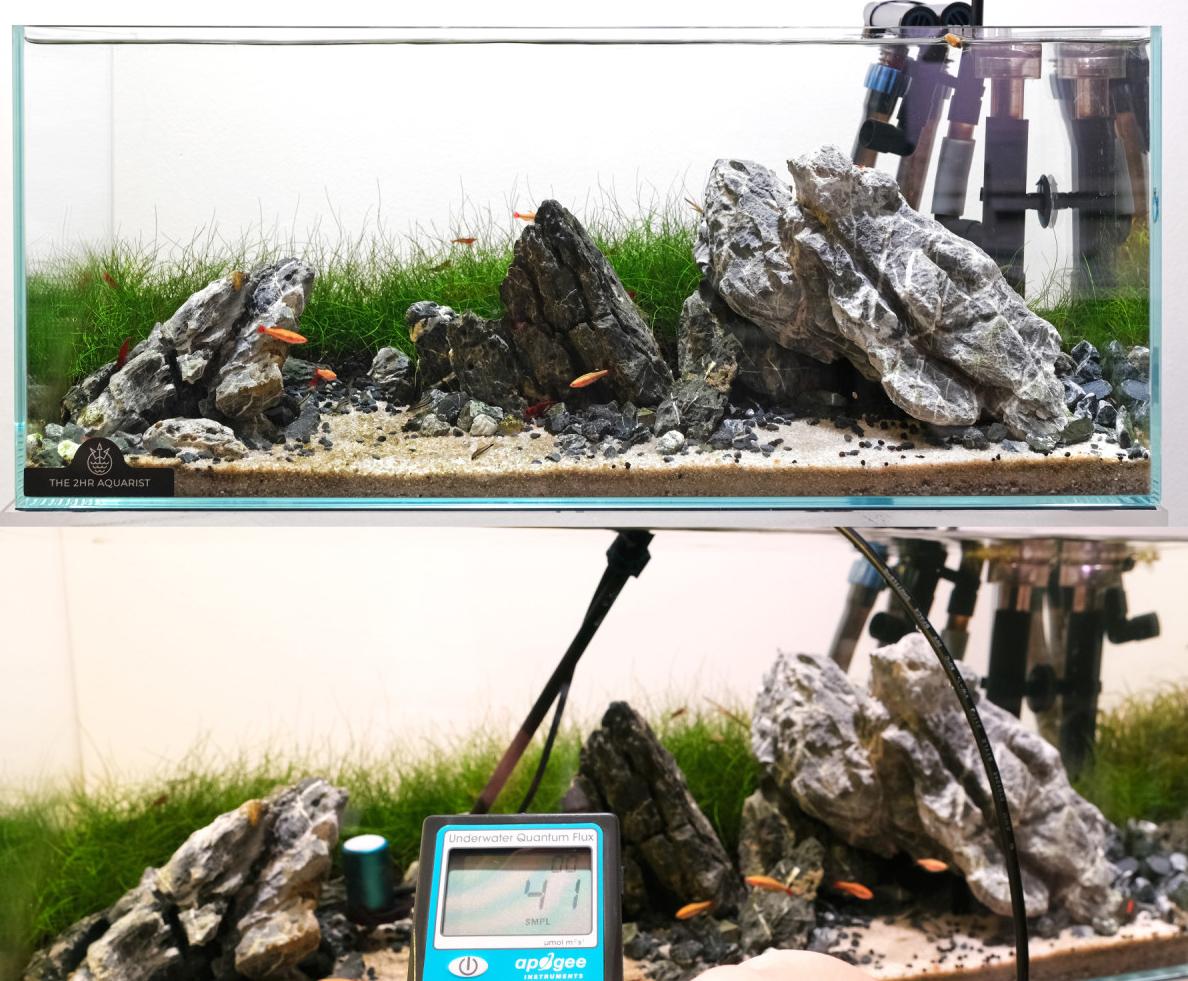 Measuring light strength using a PAR meter and sumberged probe in a iwagumi aquascape