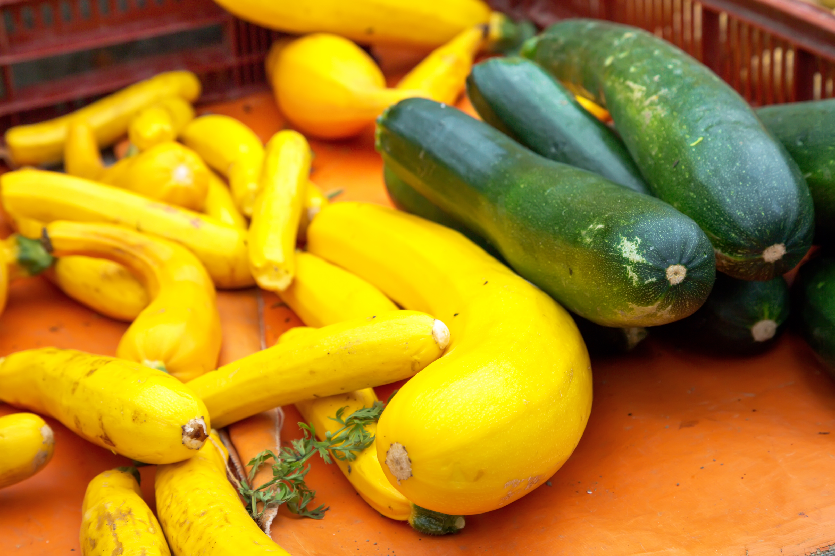 Zucchini health benefits