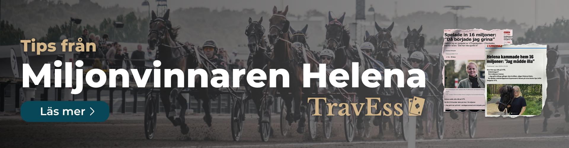 Travess banner