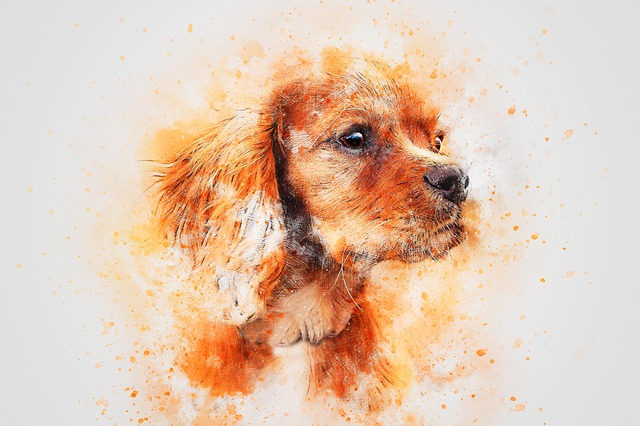 dog, portrait, cute adorable drawing idea