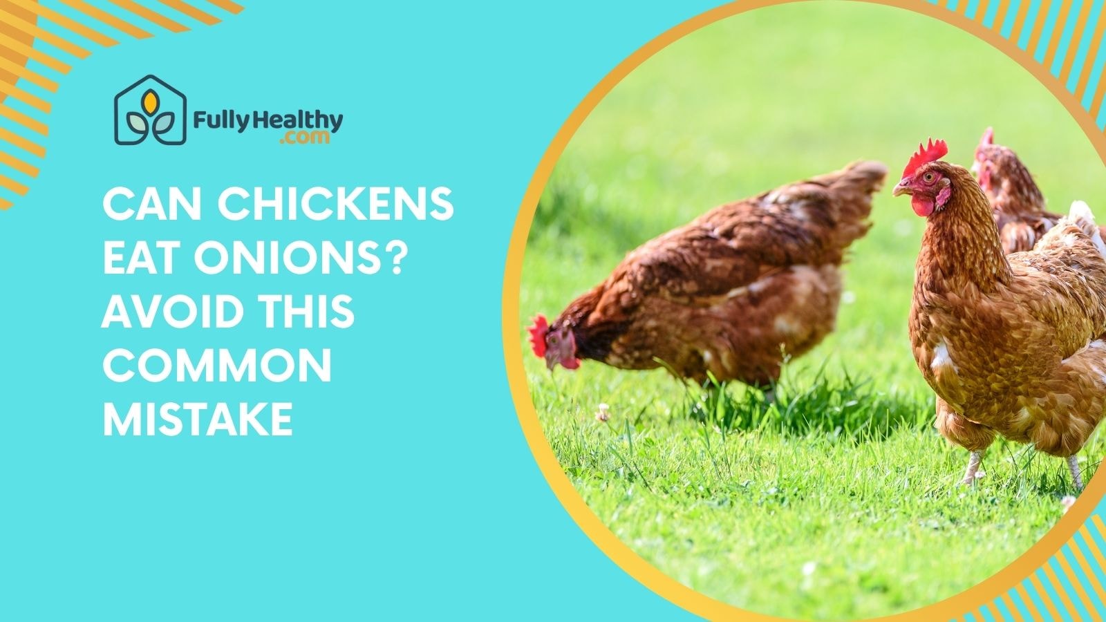 Can Chickens Eat Onions? Avoid This Common Mistake