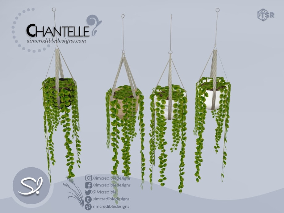 Chantelle Hanging Plant 1