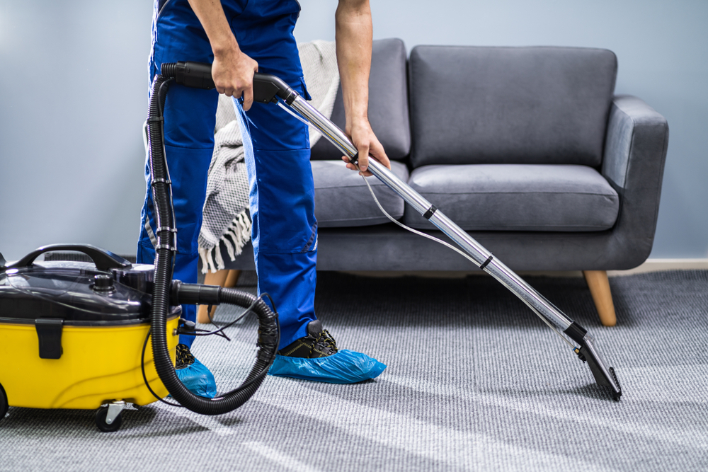 Best Carpet Cleaners Toronto steam