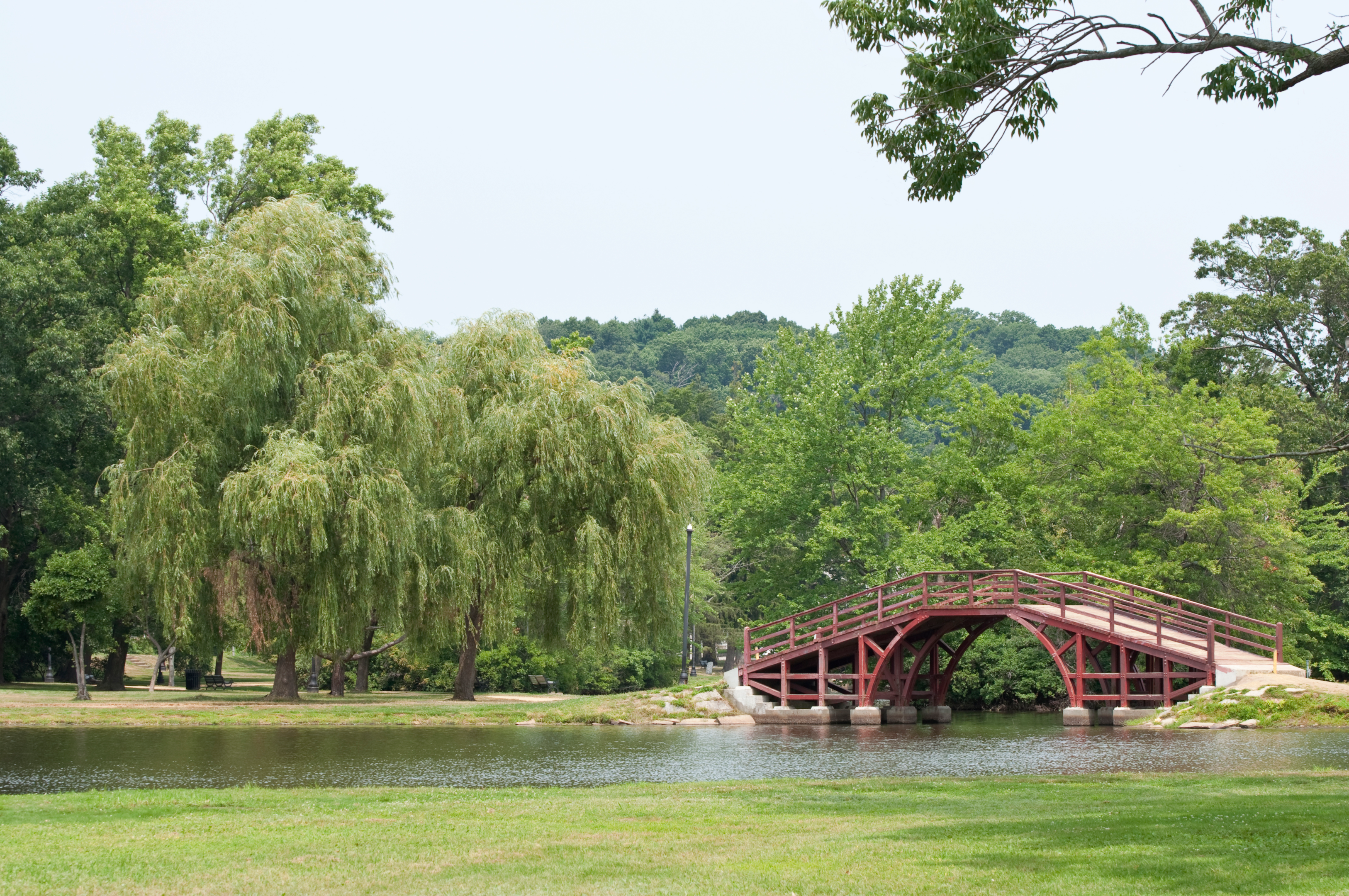 A bridge at Elm Park connecting two paths