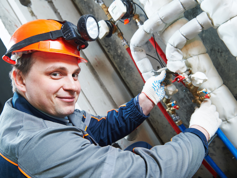An image showing a Phoenix plumber inspecting a residential plumbing system.