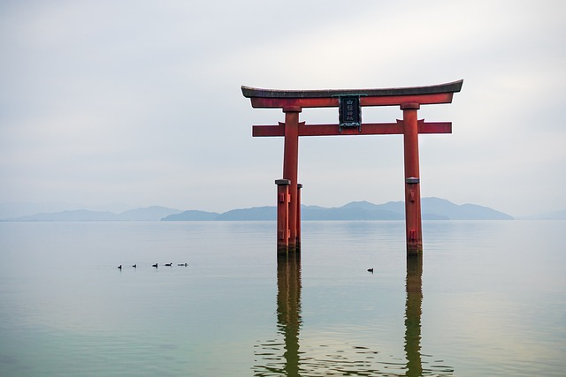 torii, sea, japan