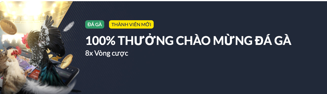 kasino đá gà Casino Vietnam trực tiếp