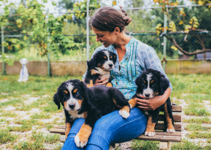 A reputable breeder talking to a family about a puppy