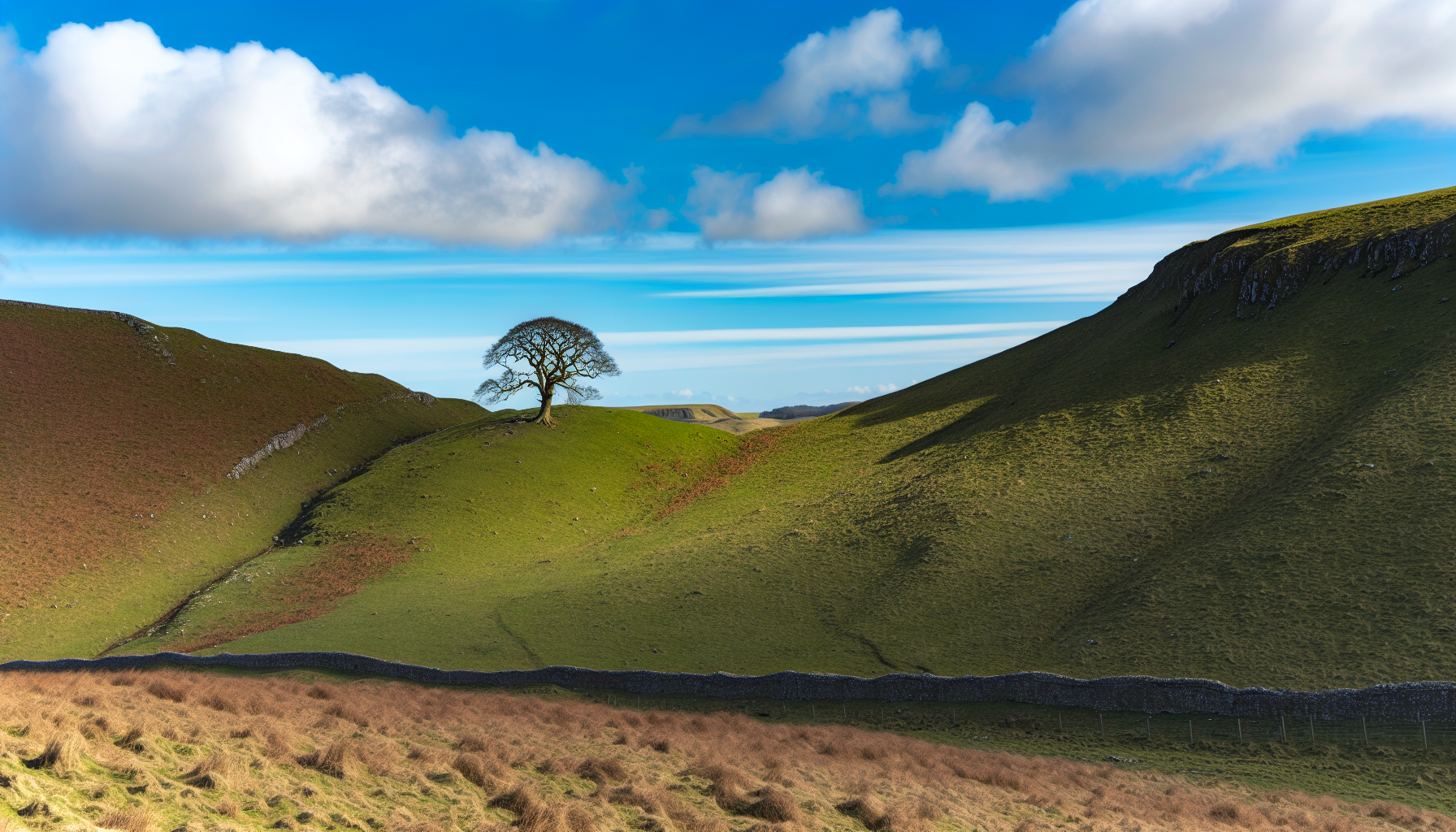 Sycamore Gap in the dramatic landscape