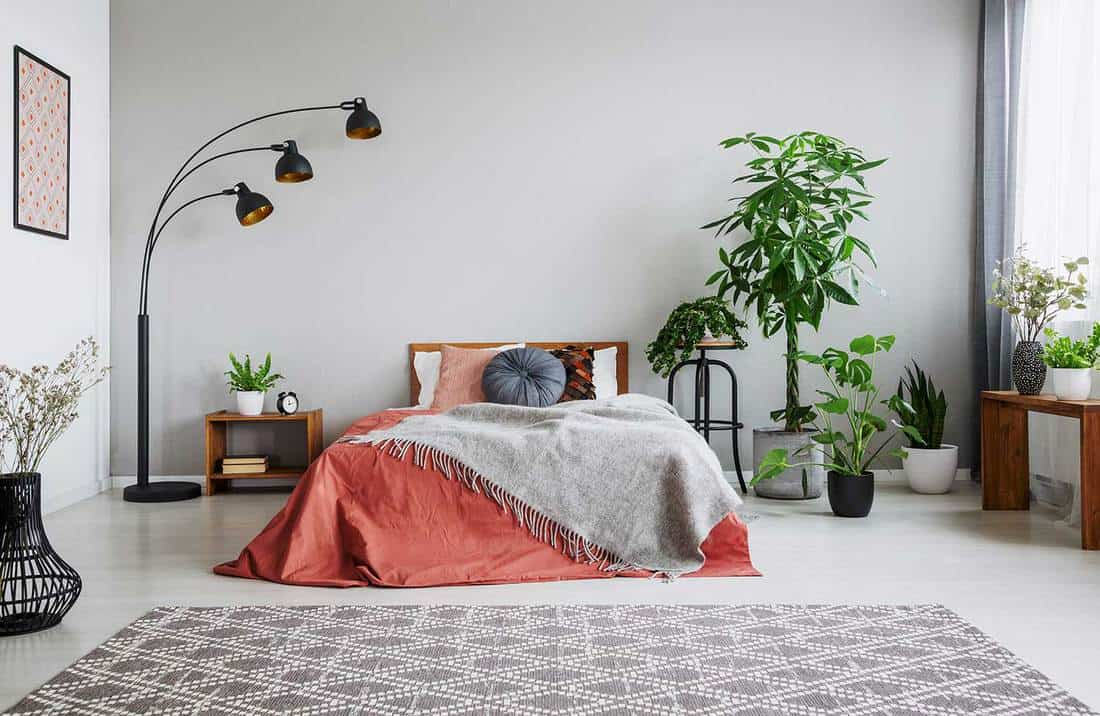 Minimalist bedroom with houseplants 