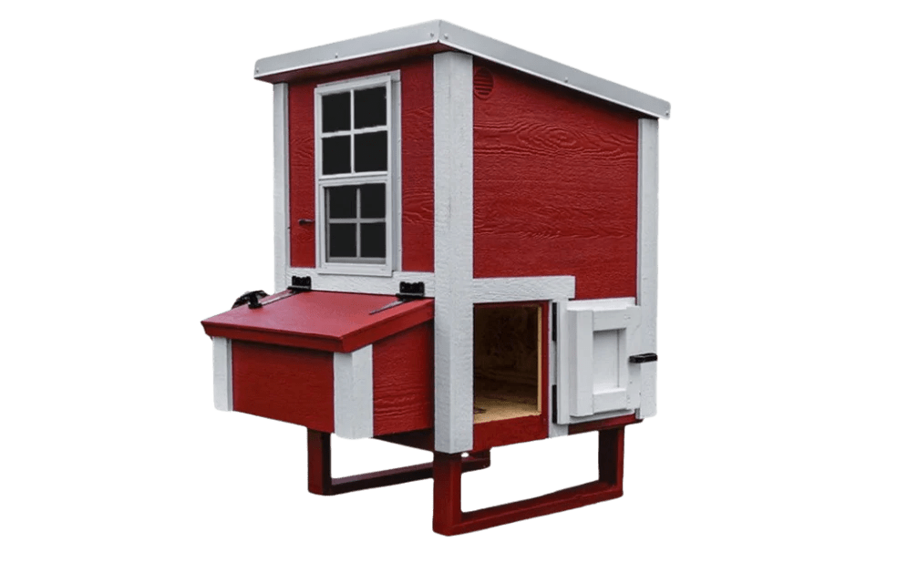 Small Chicken Coop Designed for Superior Moisture Levels That Chickens Naturally Produce